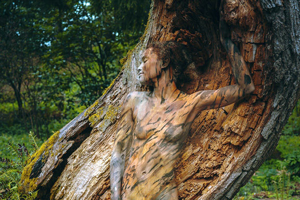 Körperbemalte Person perfekt in die Rinde eines hohlen Baumstamms integriert, wodurch eine täuschend echte Illusion der Verschmelzung mit der Natur entsteht.