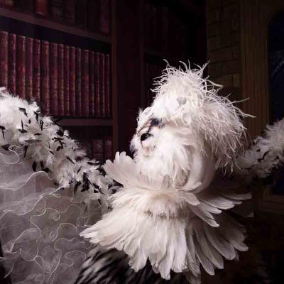 Photo Alex Barendregt Img 6649