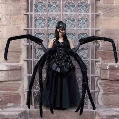 Wb Team India 34 Von 38